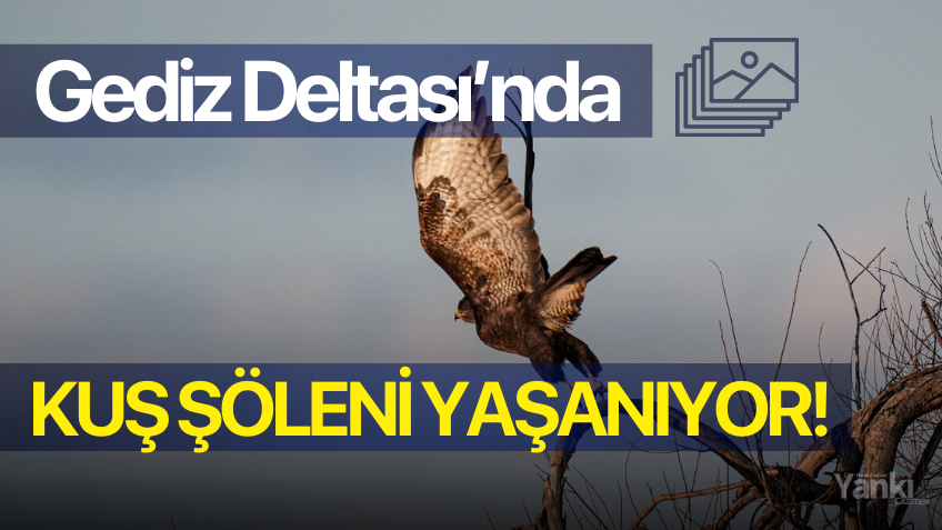 Gediz Deltası'nda kuş şöleni yaşanıyor!