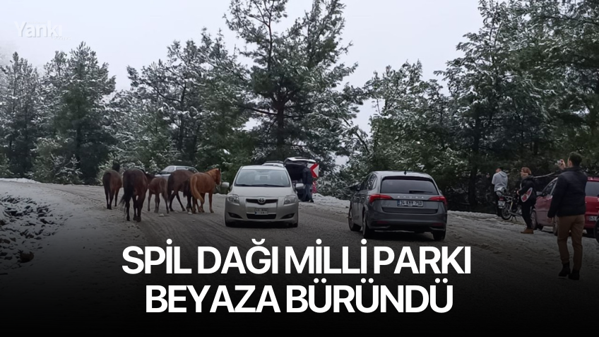 Spil Dağı Milli Parkı beyaza büründü