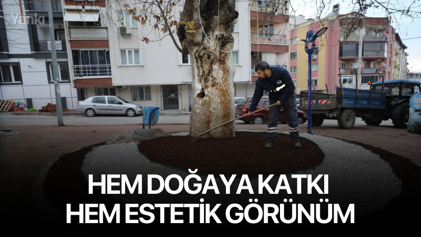 Hem doğaya katkı hem estetik görünüm