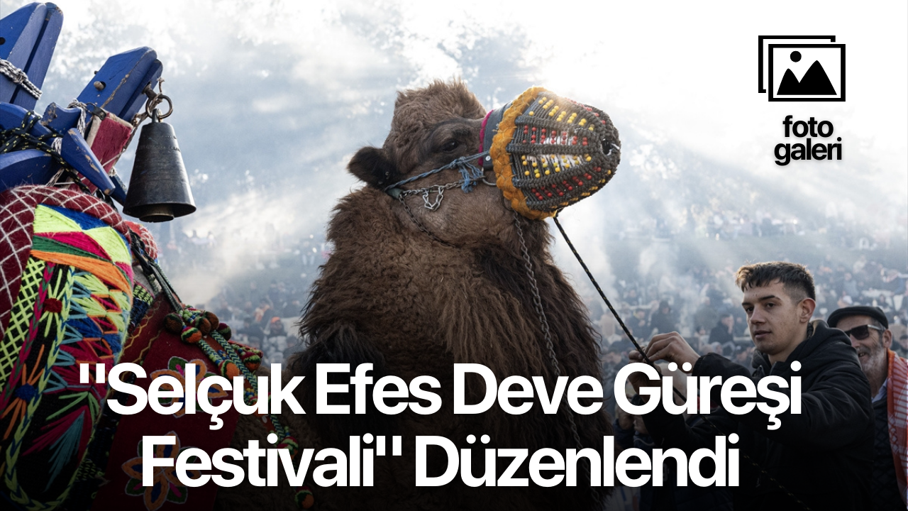 İzmir'de "Selçuk Efes Deve Güreşi Festivali" düzenlendi