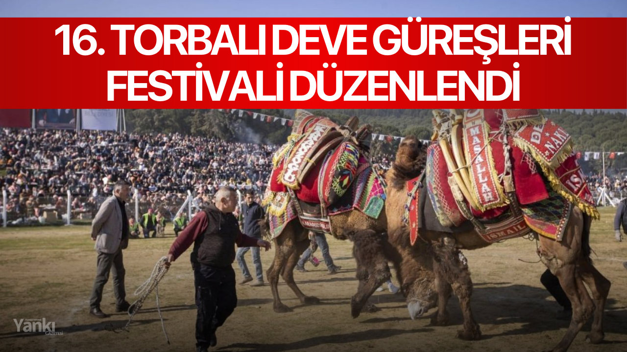 16. Torbalı Deve Güreşleri Festivali düzenlendi