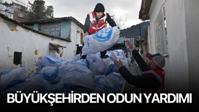 Büyükşehirden odun yardımı