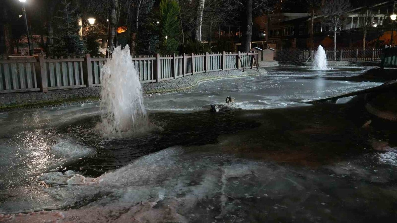 Ankara’da hava sıcaklığı eksi 10 dereceye düştü: Kuğulu Park’ın havuzu dondu