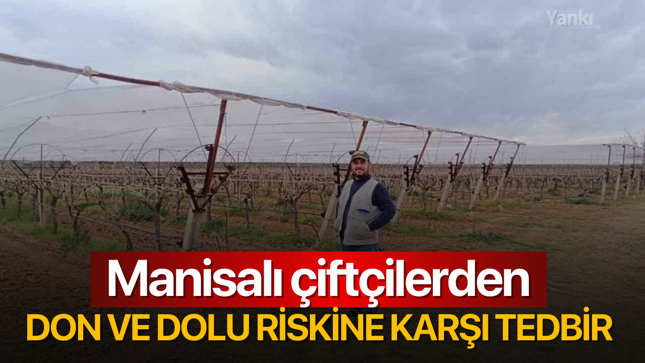 Manisalı çiftçilerden don ve dolu riskine karşı tedbir