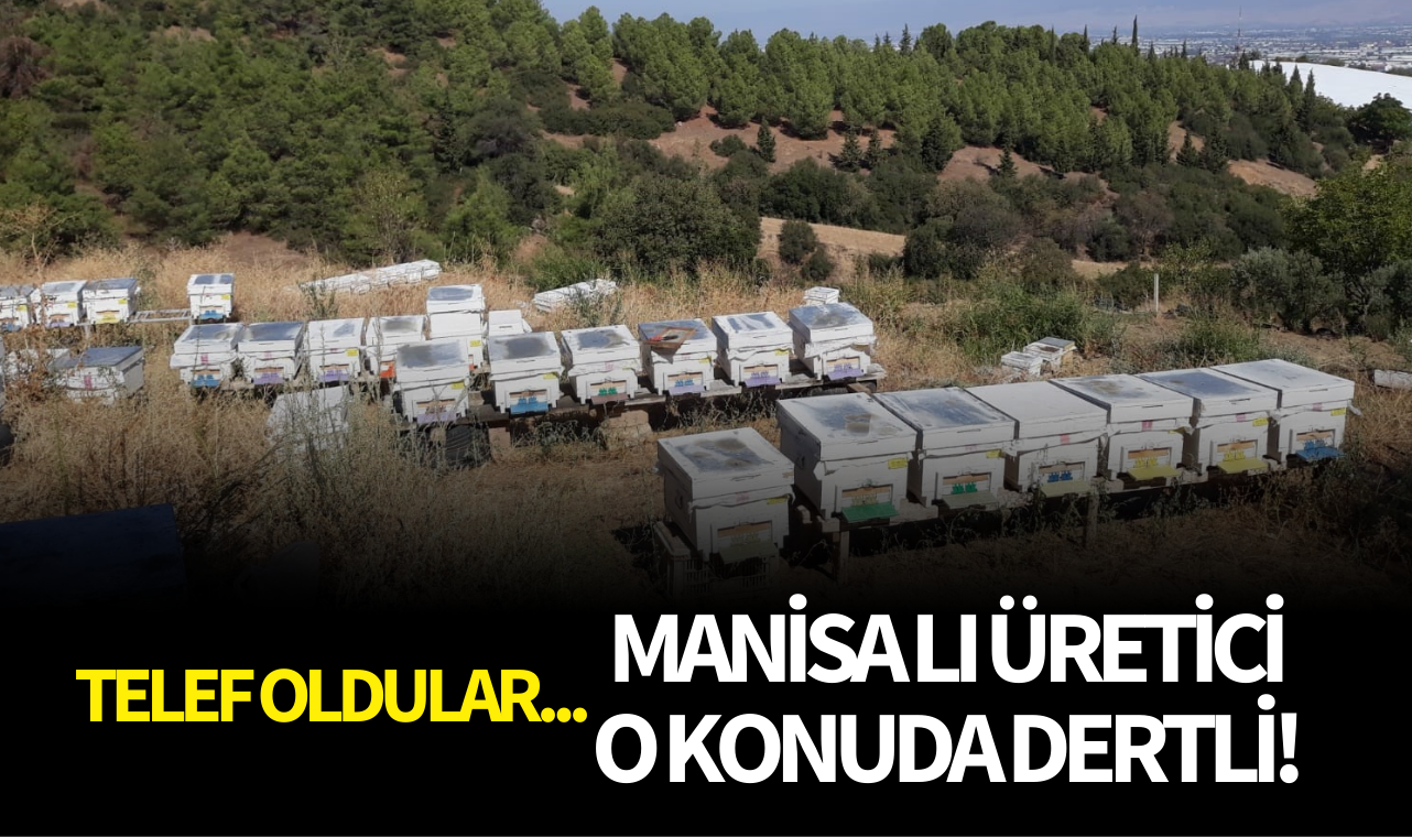 Manisalı üreticinin başı o konuda dertte!