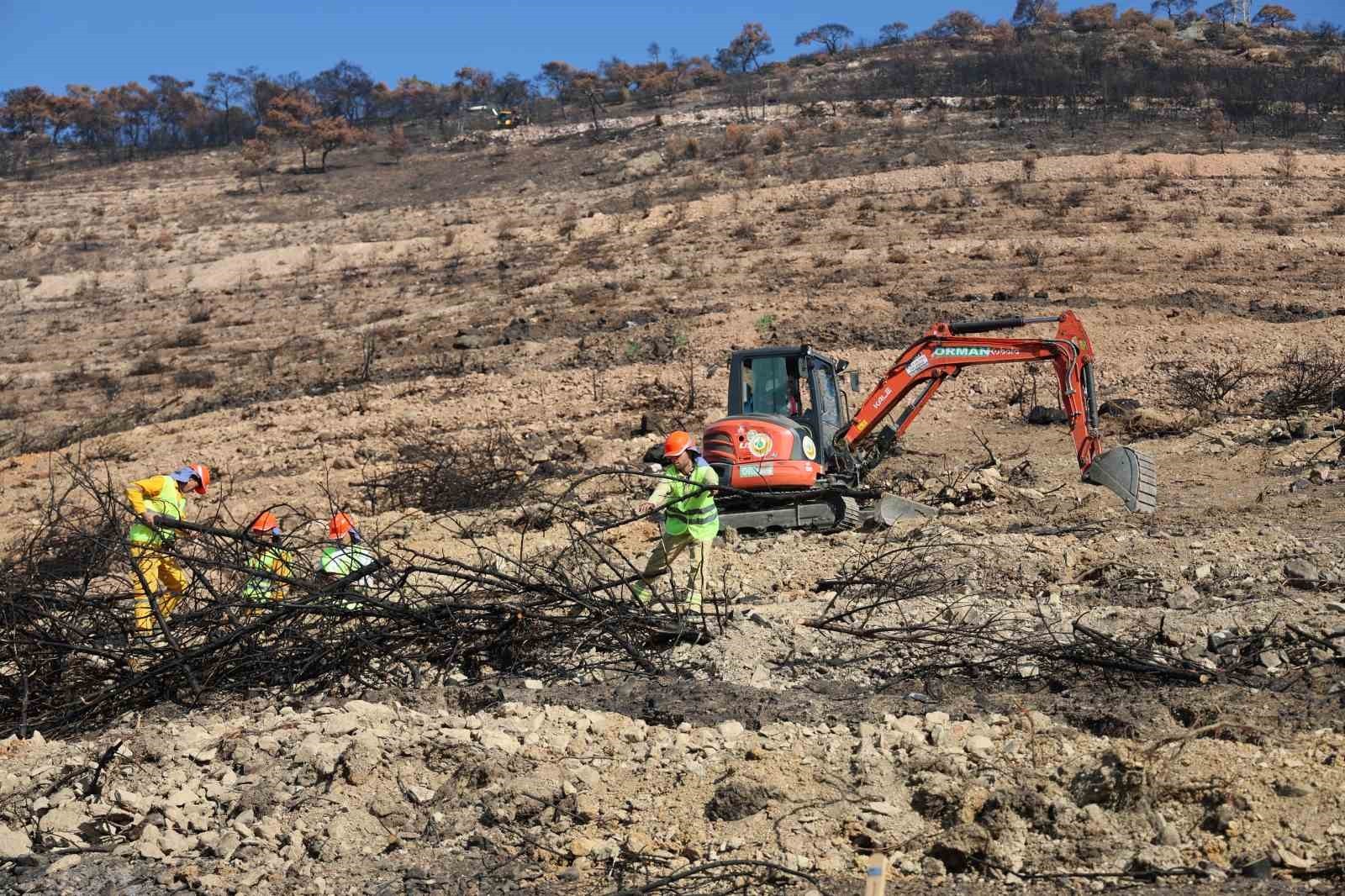 İzmir'de yanan ormanlık alana 1 milyon 100 bin fidan dikilecek