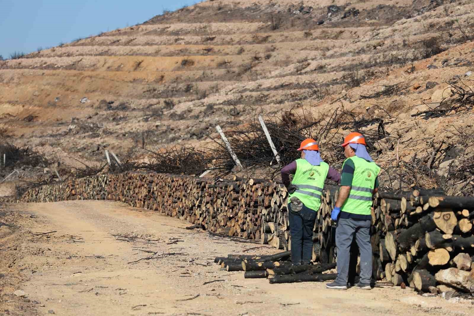 İzmir'de yanan ormanlık alana 1 milyon 100 bin fidan dikilecek