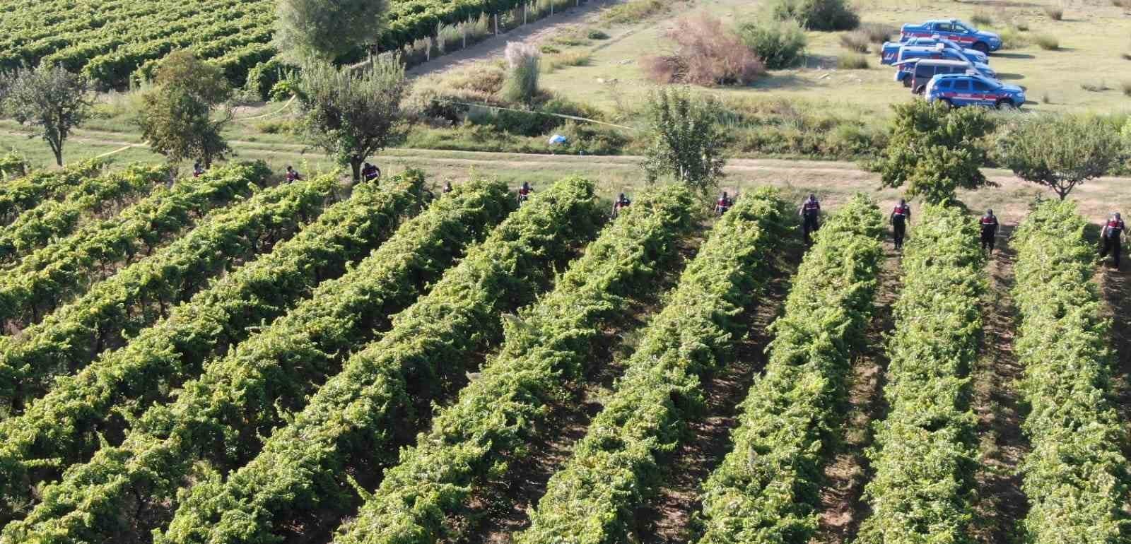 Manisa'da çiftçi cinayeti: 2 kişi tutuklandı