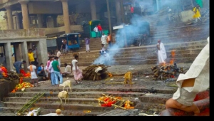 Turdaklılar, Hindistan Varanasi ve Agra' da