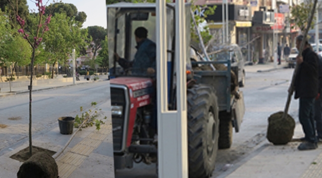 'Bu ne perhiz bu ne lahana turşusu'