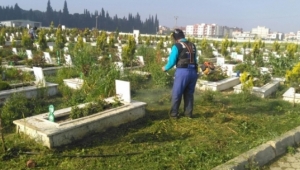 Turgutlu'da Mezarlıklara Bakım