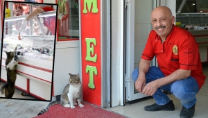 'Yeşim' bugün de geldi, kasaptan et alıp karnını doyurdu