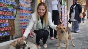 Güzide İçen Kasap: Hayvan haklarıyla ilgili yaptırımlar gelecek