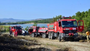 Manisa'da orman yangını