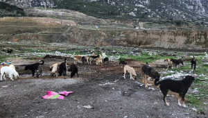 Başevirgen, Büyükşehir'i göreve ve duyarlılığa davet etti