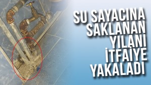 Su sayacına saklanan yılanı itfaiye kurtardı (VİDEO)