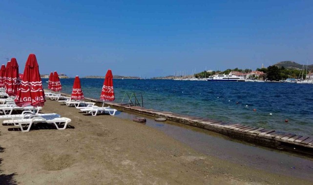 İzmir Foça'da turizmi denizanası vurdu, plajlar boş kaldı