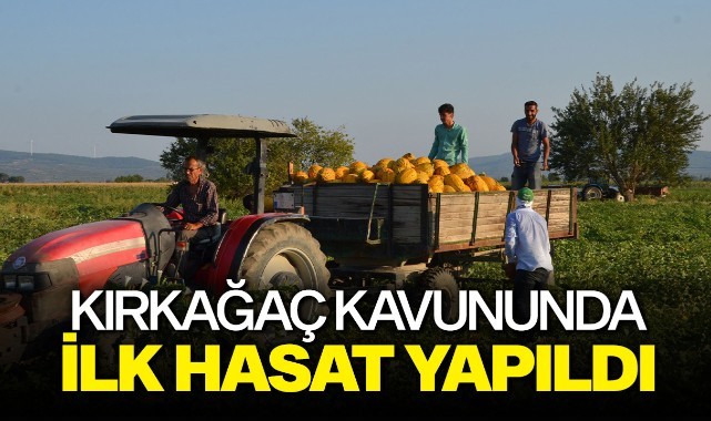 Kırkağaç kavununda ilk hasat yapıldı