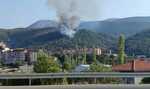 Soma'daki orman yangını kontrol altına alındı