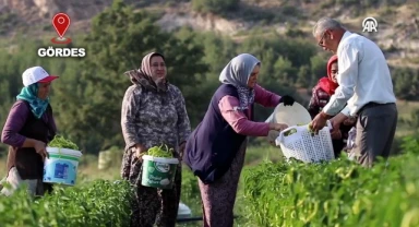 Suyla buluşan topraklarda çeşit arttı, hasat bereketlendi