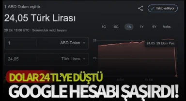 Google hesabı şaşırdı! Dolar 24 TL'ye düştü