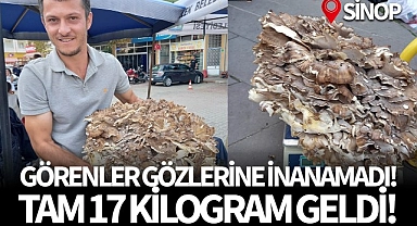 Görenler gözlerine inanamadı! Tam 17 kilo...