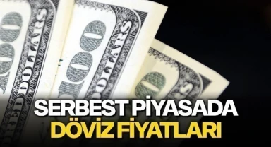 Serbest piyasada döviz fiyatları