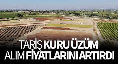 TARİŞ Üzüm Birliği kuru üzüm alım fiyatlarını artırdı