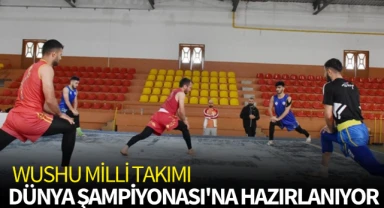 Wushu Milli Takımı, Dünya Şampiyonası'na hazırlanıyor