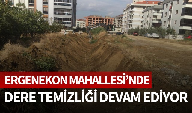 Ergenekon Mahallesi'nde dere temizliği devam ediyor