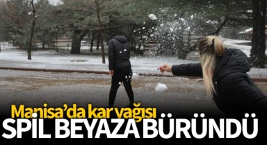 Spil beyaza büründü