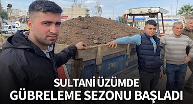 Sultani üzümde gübreleme sezonu başladı