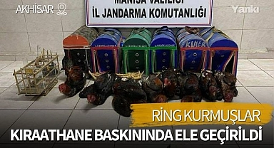 Kıraathane baskınında dövüş horozları yakalandı