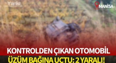 Kontrolden çıkan otomobil üzüm bağına uçtu: 2 yaralı!