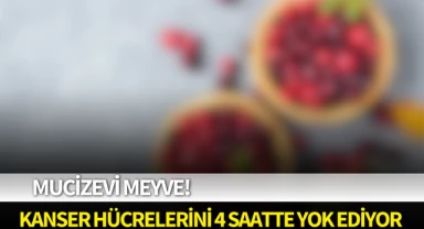 Mucizevi meyve! Kanser hücrelerini 4 saatte yok ediyor