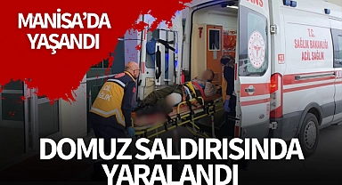 Domuzun saldırdığı çoban yaralandı