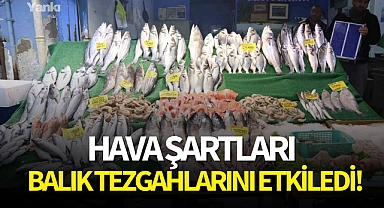 Hava şartları balık tezgahlarını etkiledi!