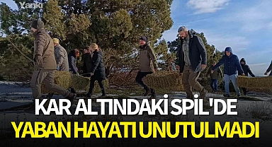 Kar altındaki Spil'de yaban hayatı unutulmadı