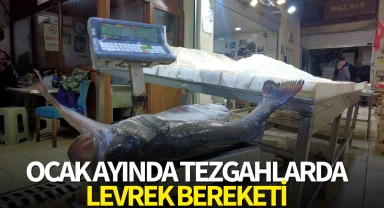 Ocak ayında tezgahlarda levrek bereketi