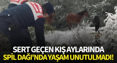 Sert geçen kış aylarında Spil Dağı'nda yaşam unutulmadı!