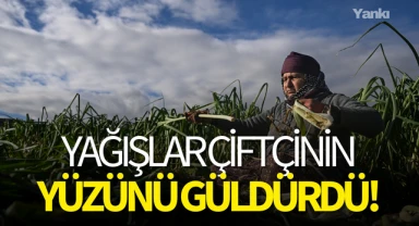 Yağışlar çiftçinin yüzünü güldürdü!