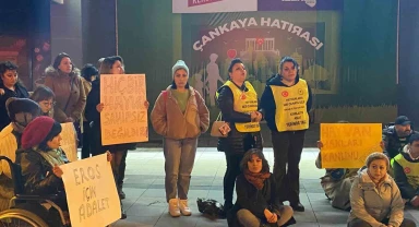 'Eros' isimli kediyle ilgili davadan çıkan karara tepki