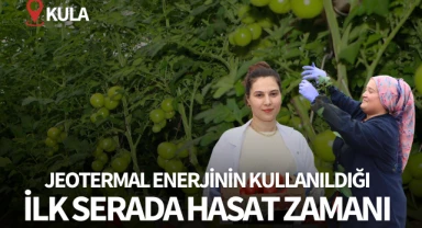 Jeotermal enerjinin kullanıldığı ilk serada hasat zamanı