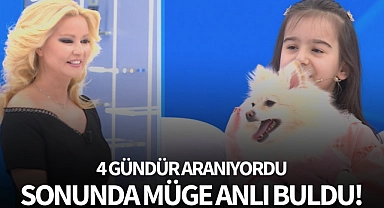 Kayıp köpek Müge Anlı'da bulundu