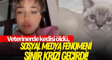 Sosyal medya fenomeninin veterinerde kedisi öldü, sinir krizi geçirdi!