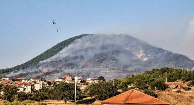 3 gün boyunca yandı, yeniden orman olması 30 yıl sürecek