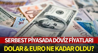 Dolar ve Euro ne kadar oldu?