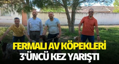 Manisa'da fermalı av köpekleri 3'üncü kez yarıştı