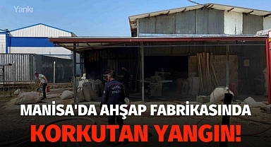 Manisa'da ahşap fabrikasında çıkan yangın korkuttu!