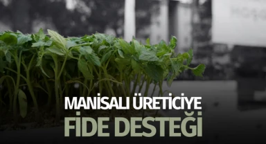 Manisalı üreticiye fide desteği